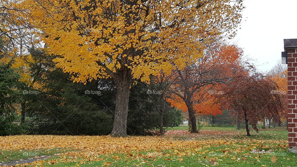 colour stories yellow