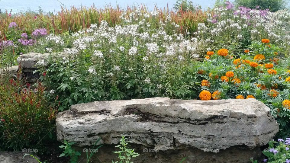 St. Lawrence Seaway peaking through.