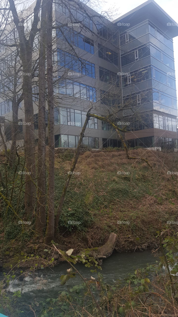 A Office building at the edge of the creek.