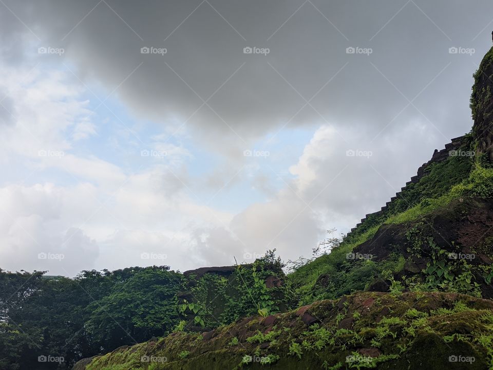 A Landscape- Picture has been captured on Realme 6i without using any filters.