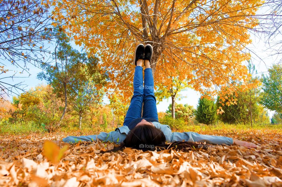 Beauty of Season Fall 