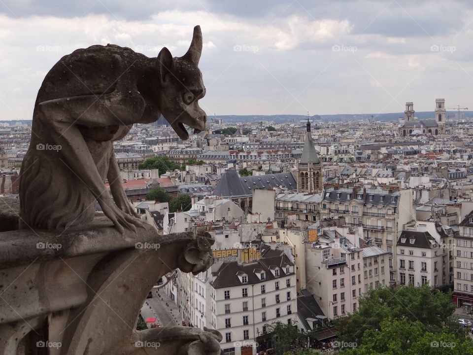 Notre dame de Paris, the gargoyle guards the city 