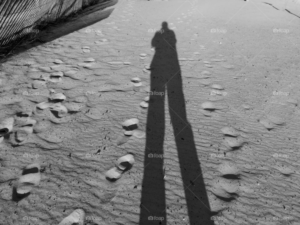 Shadows on the Beach