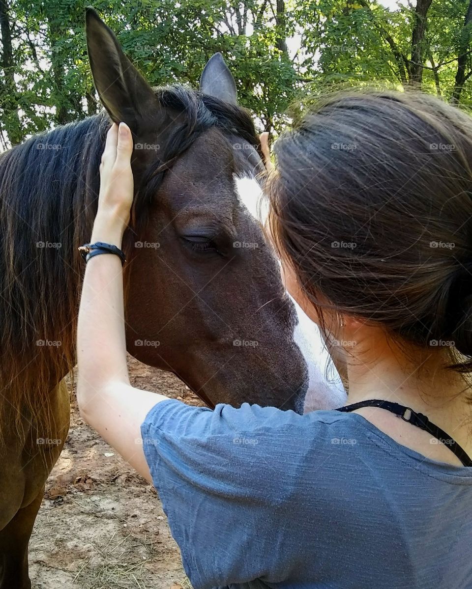 A braid for the horse