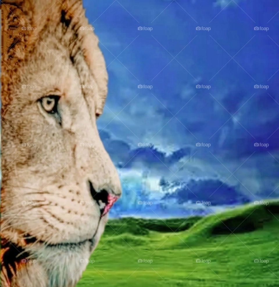 most beautiful and attractive view of the hill.