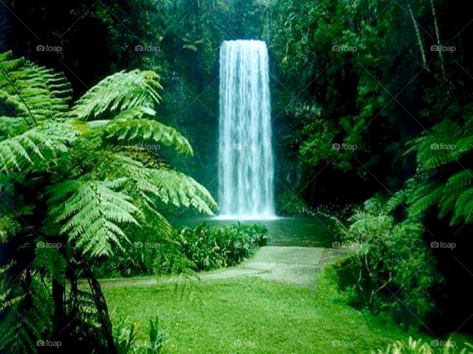 Waterfalls in the Atherton Tablelands - Queensland, Australia 