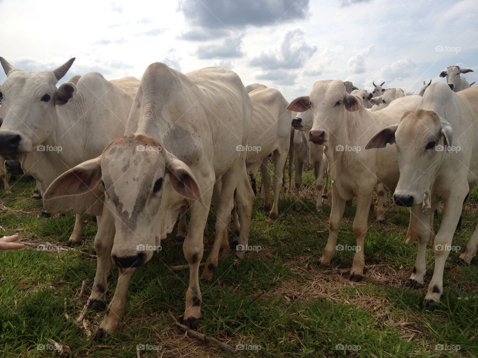 danger scared fear attack by fizique