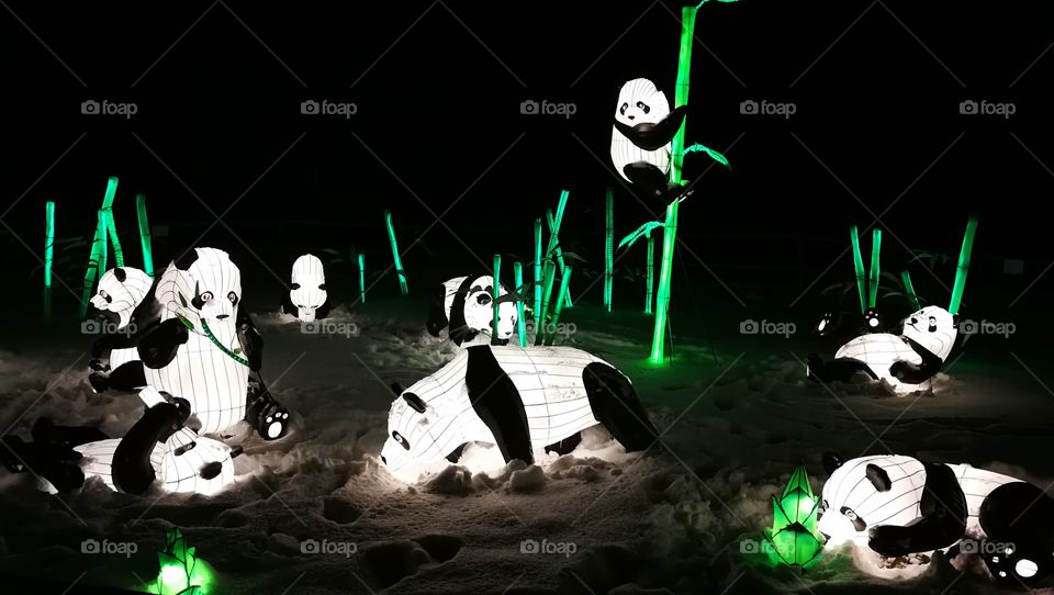 Pandas