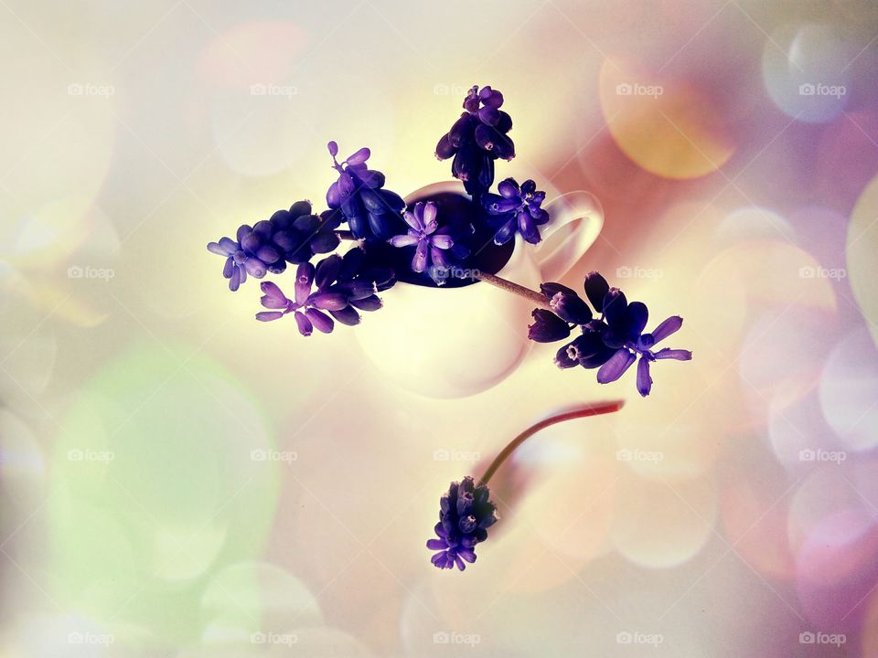 flower arrangement muscari in a small jug