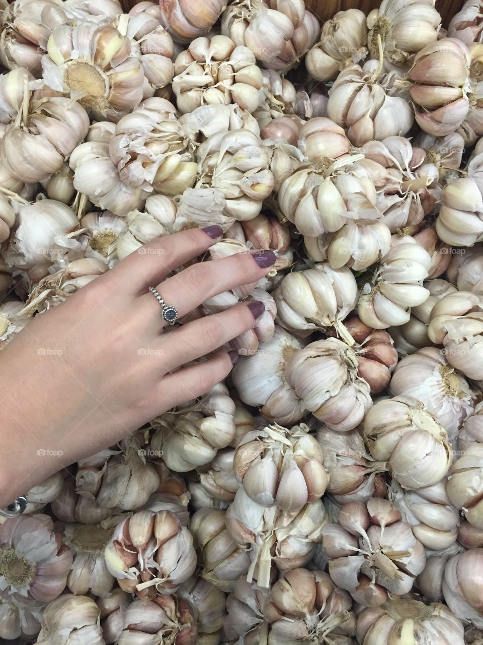 Hands on garlic