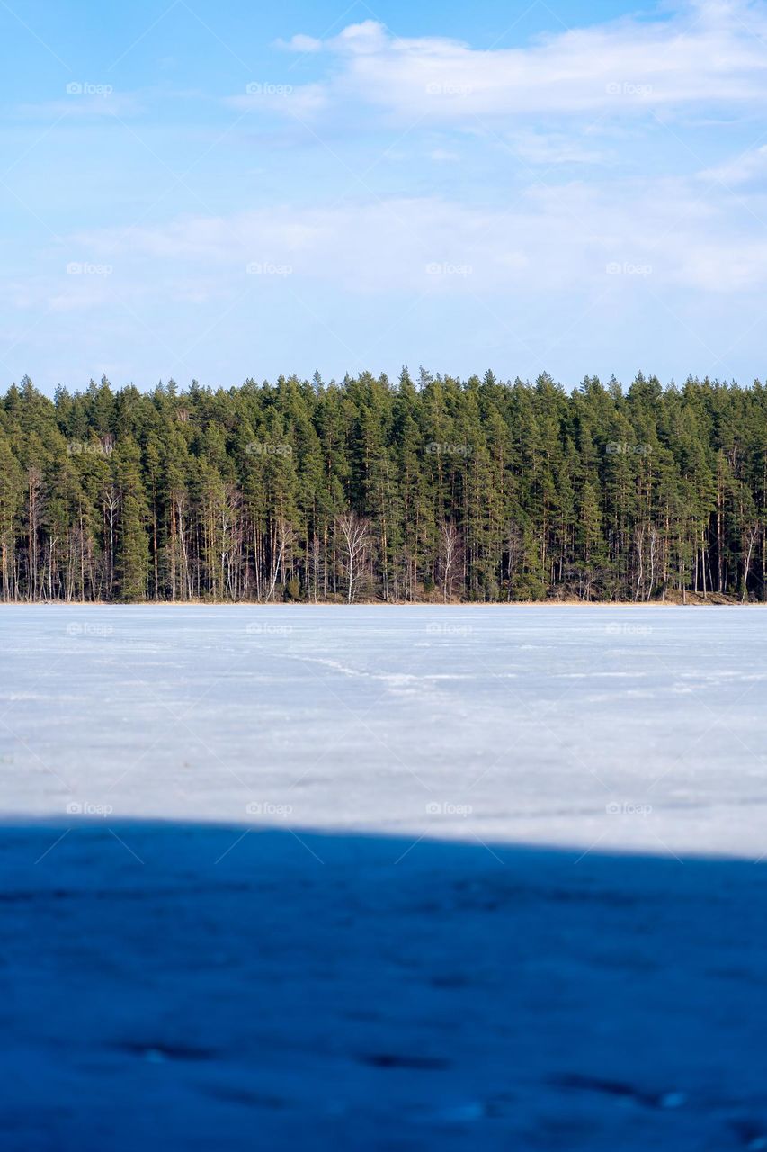 Green forest in the middle of bkue sky and white ice.