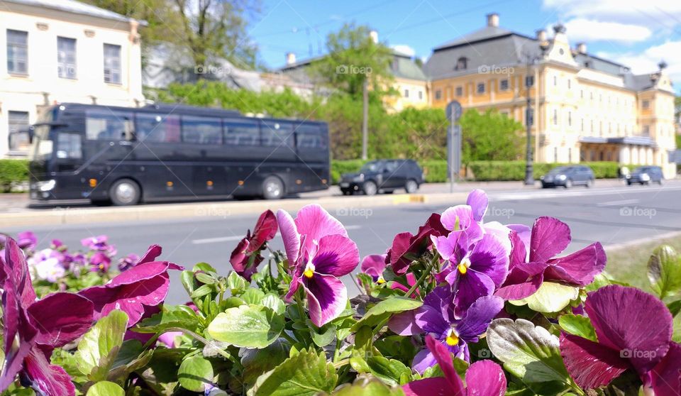 City vibe💜🏢 Floral, building and road💜🏢