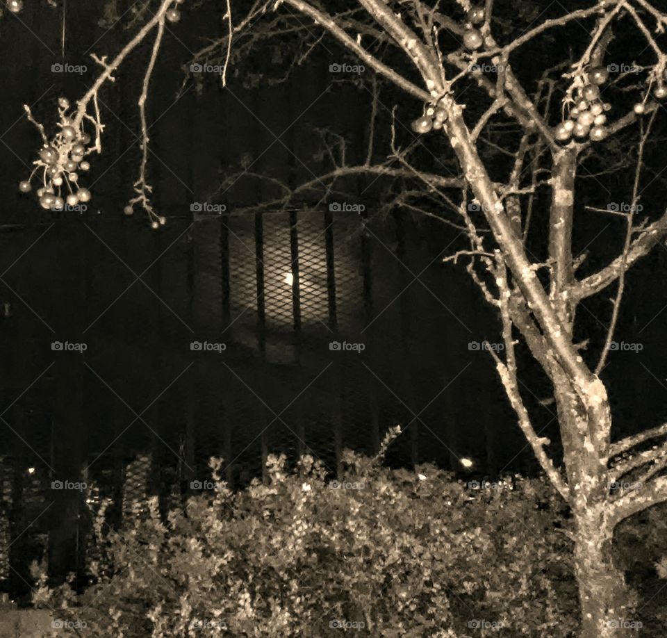 black and white moon glow dream