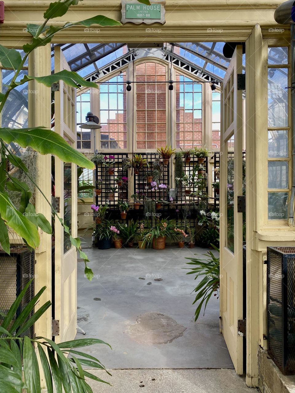 Looking thru a set of doors at a local greenhouse