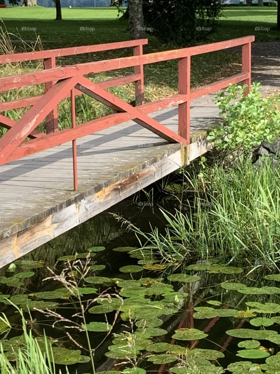 Bridge 