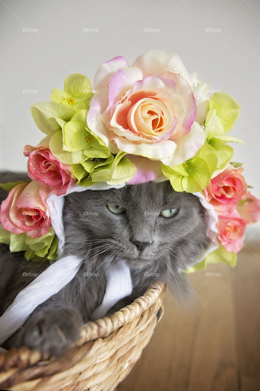 Happily wearing a garden on her head.