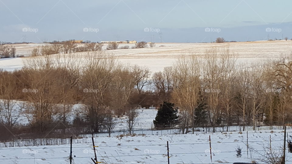winter morning farmland