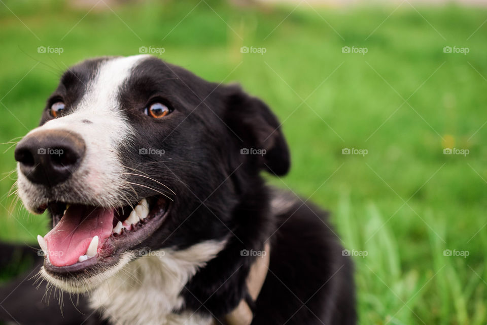 Spring time relaxation