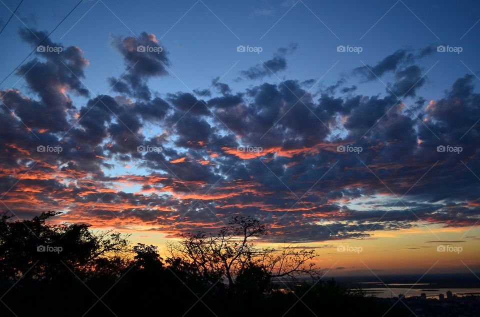 PANTANAL MS BRAZIL