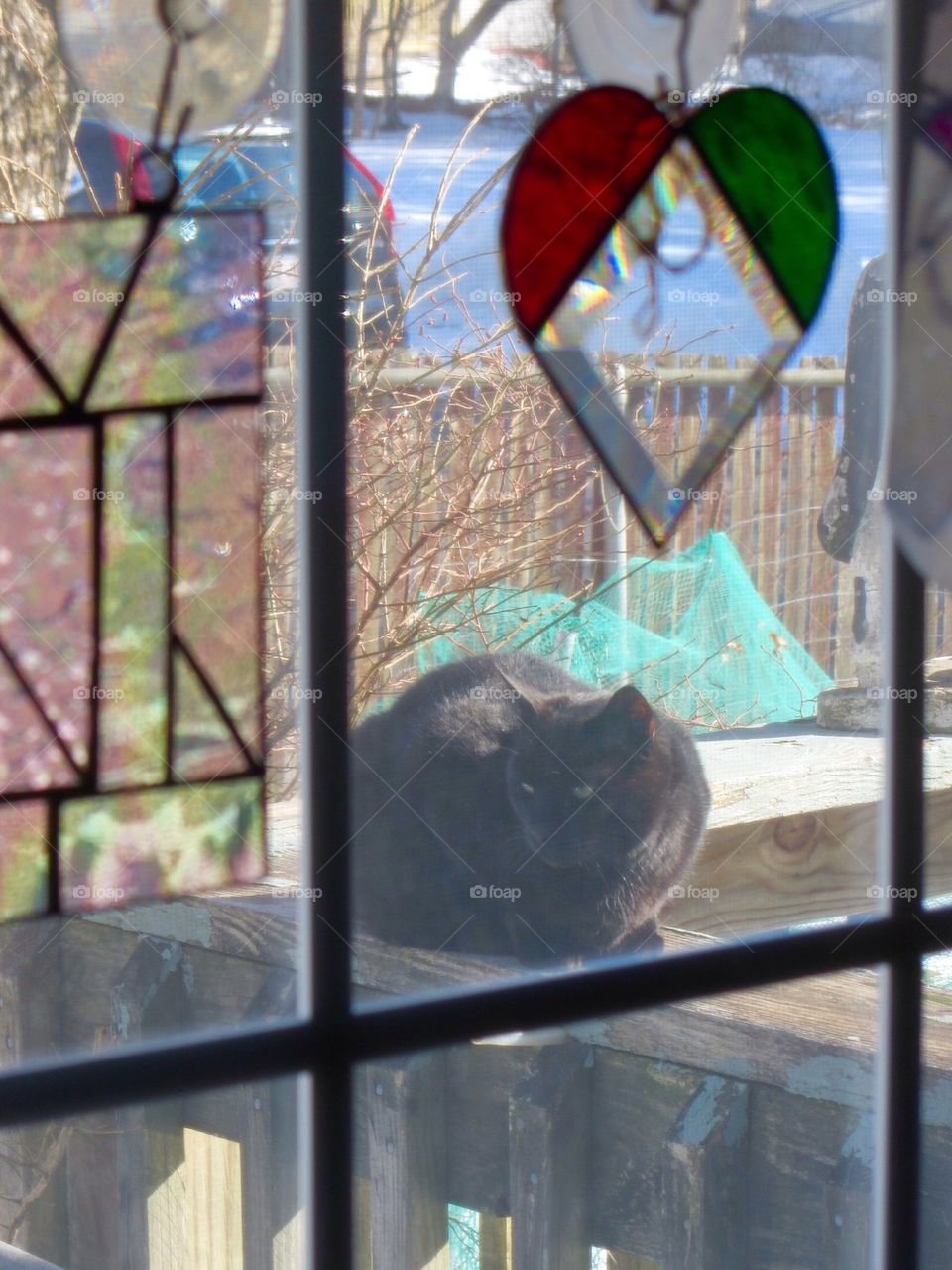 Window Suncatchers Cat Outside