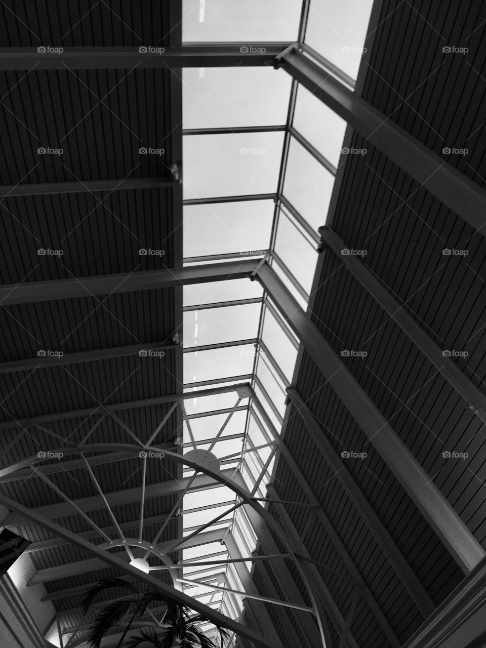 Awesome skylight at the mall 