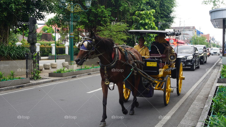 Delman is a traditional two-wheeled, three- or four-wheeled transportation vehicle that does not use engines but uses horses instead.