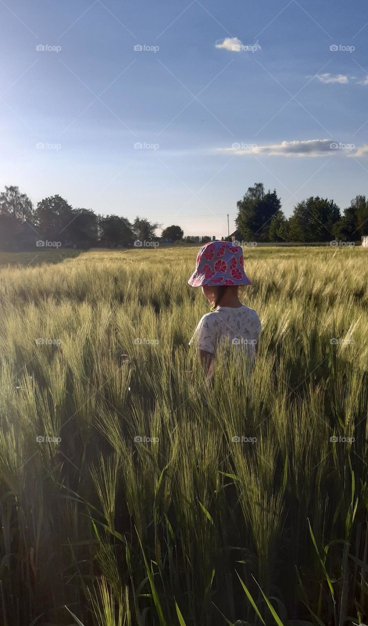 hiding in the high grass)