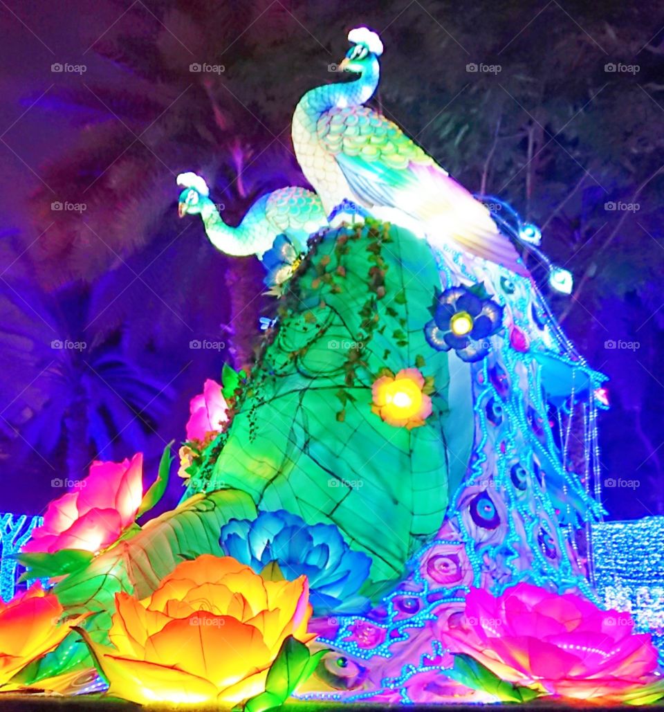 Peacock Structure in Dubai Garden Glow Park