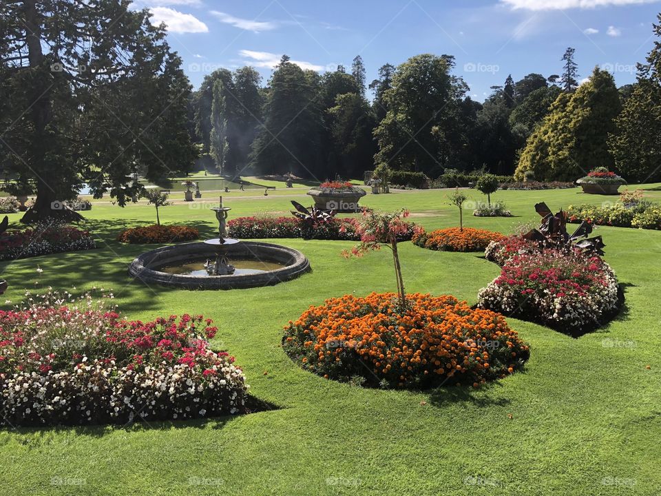 I love visiting gardens in my native County of Devon and if the sun pitches up, then gardens of distinction like this one spring to life.