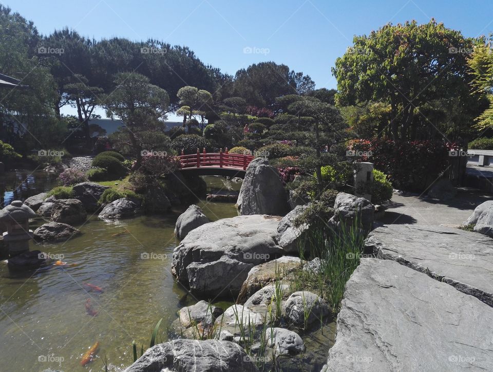 giardino giapponese