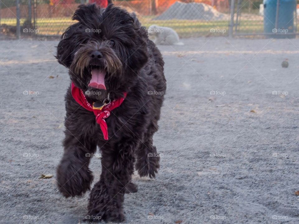 I'm running at the park