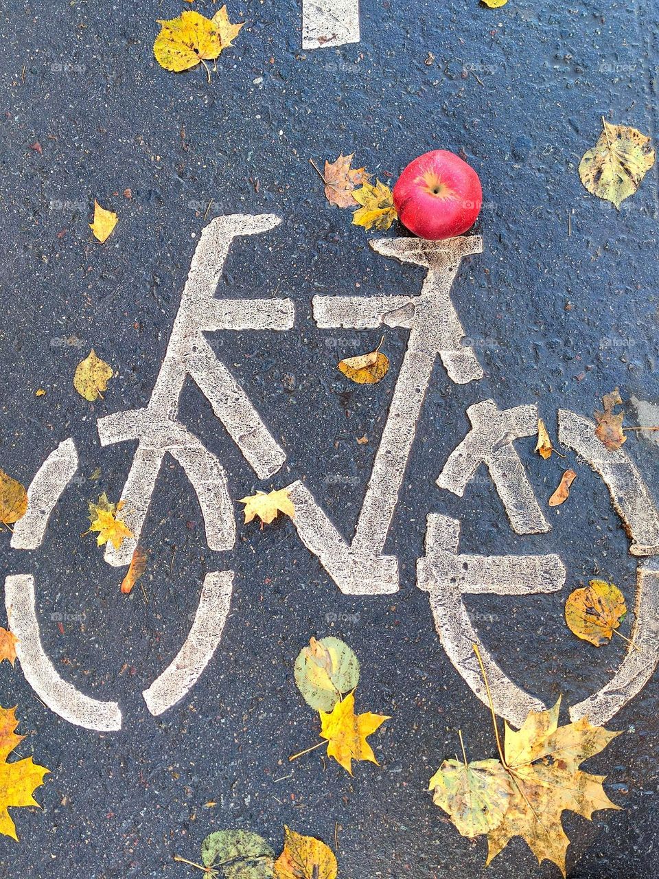 On the pavement, white markings for cyclists in the form of a bicycle.  There is a red apple on the seat of the bike.  Autumn leaves all around