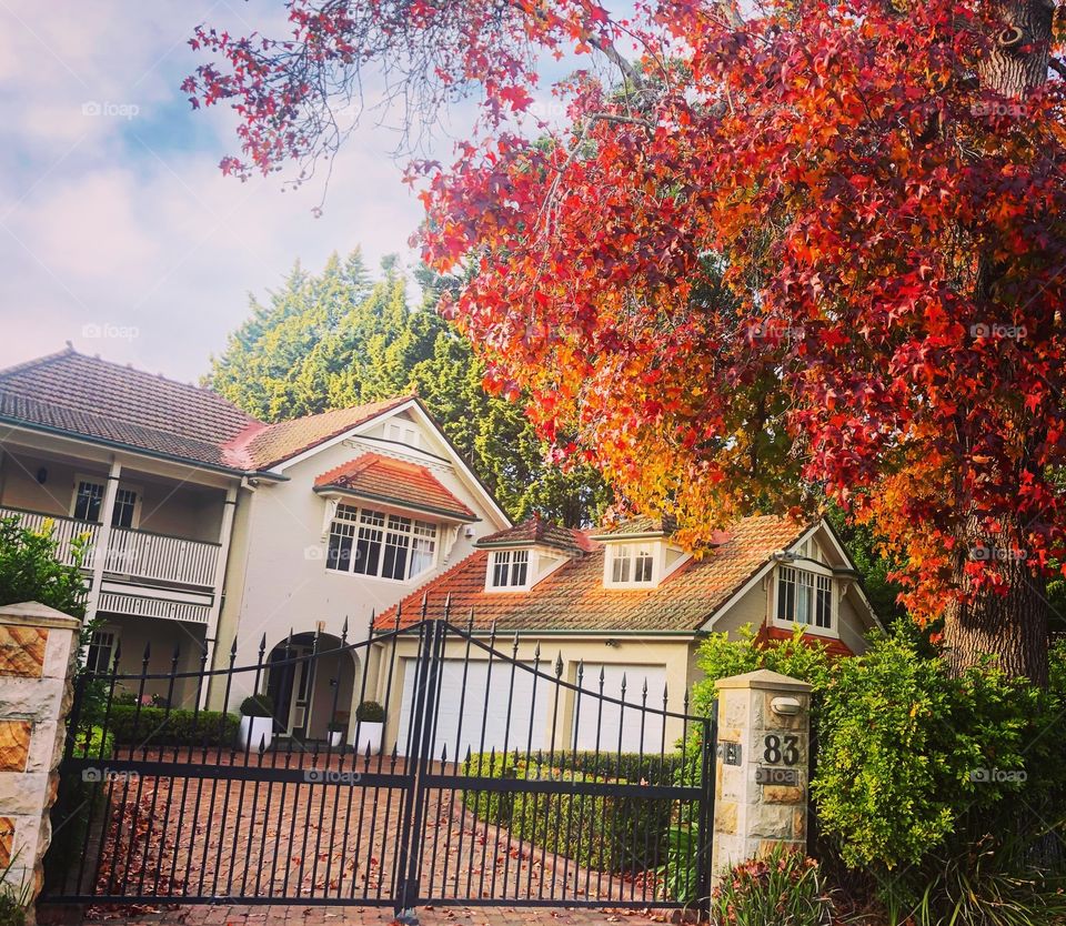 Dream house in Autumn 