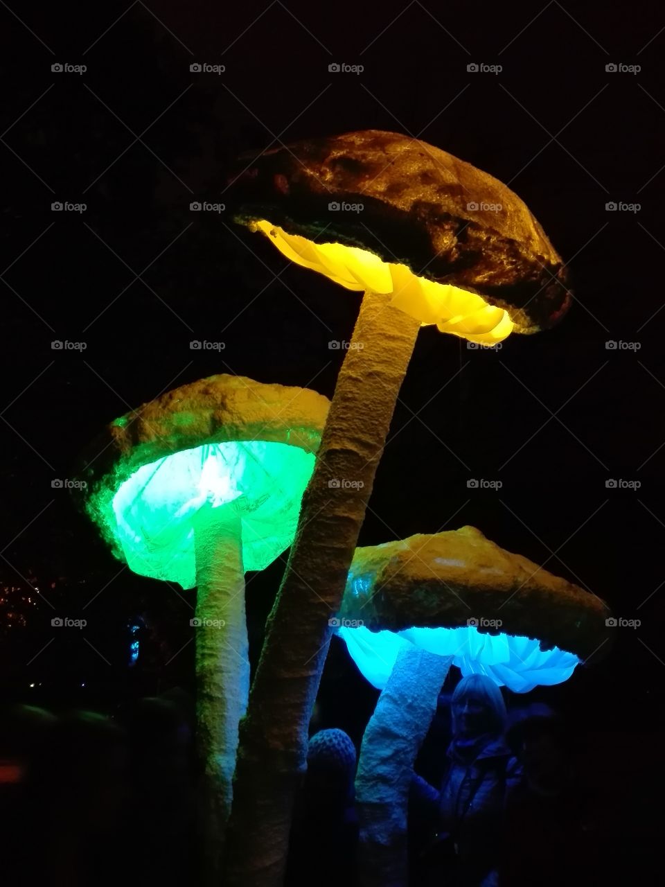 light mushrooms
