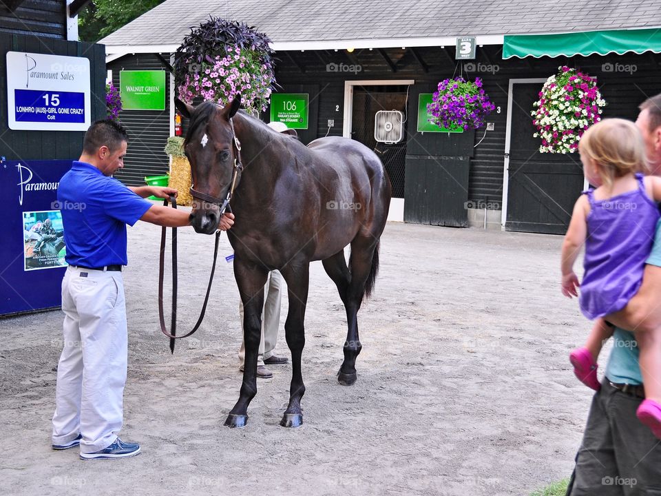 Fasig Tipton Yearling Sales. The Saratoga yearling sales at Fasig Tipton featuring this colt by horse of the year Australian champion Lohnro .