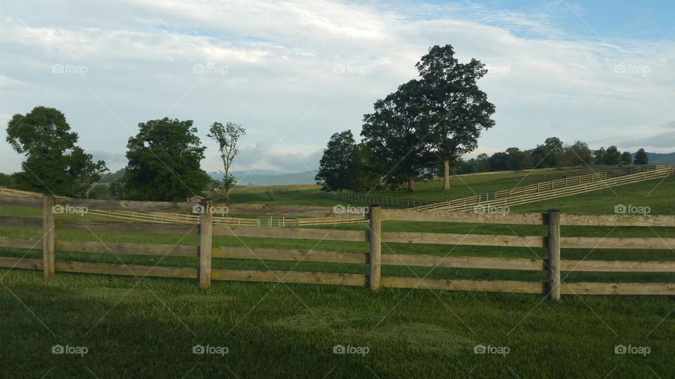 Virginia hills, pasture, fences