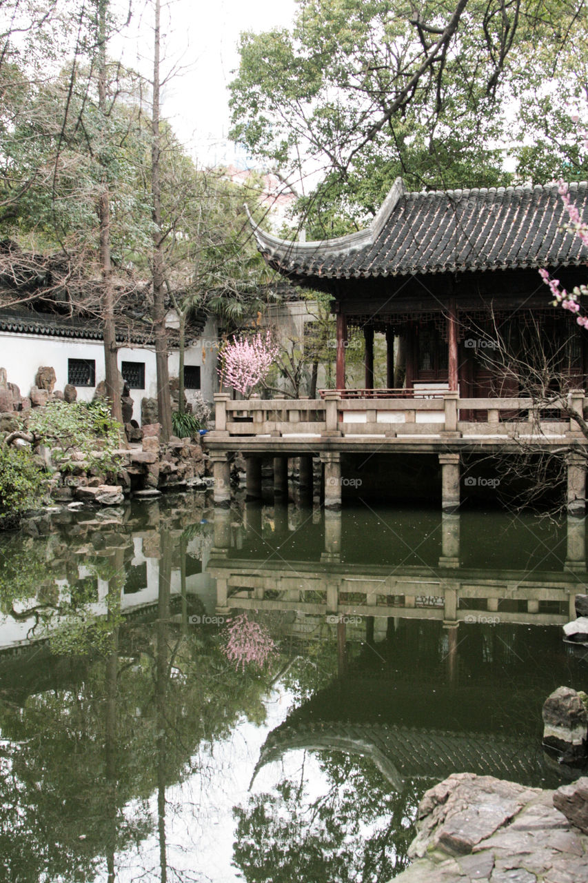 chinese garden