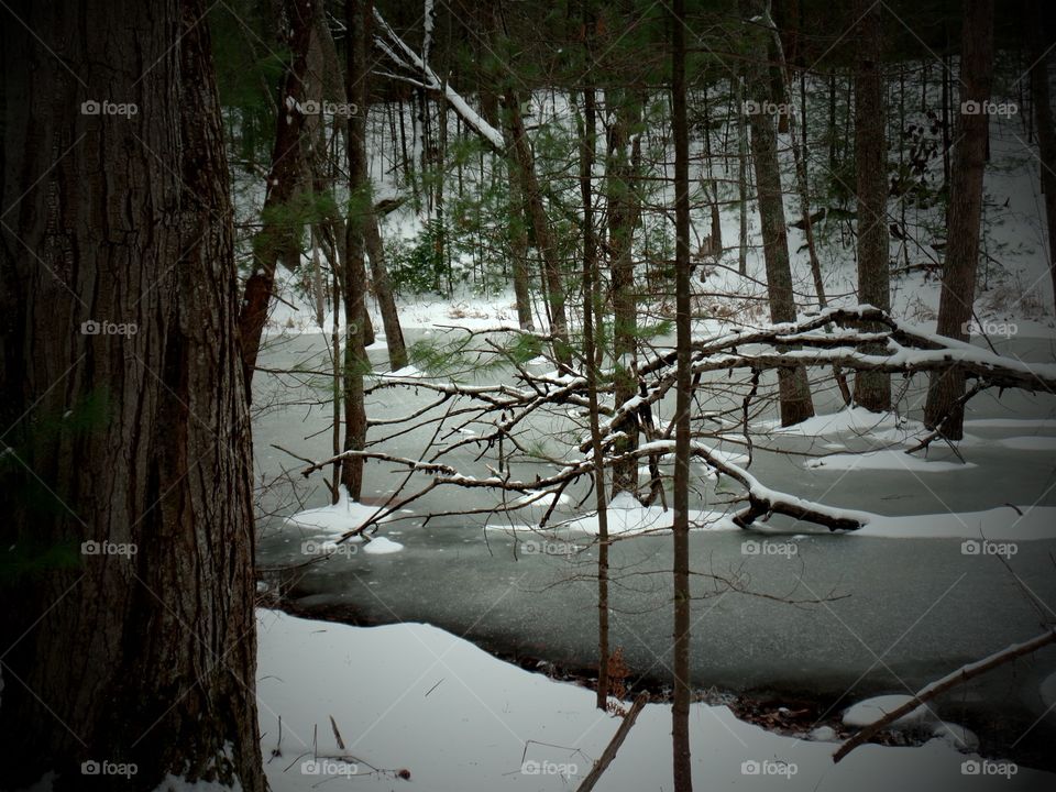 Northern Michigan 