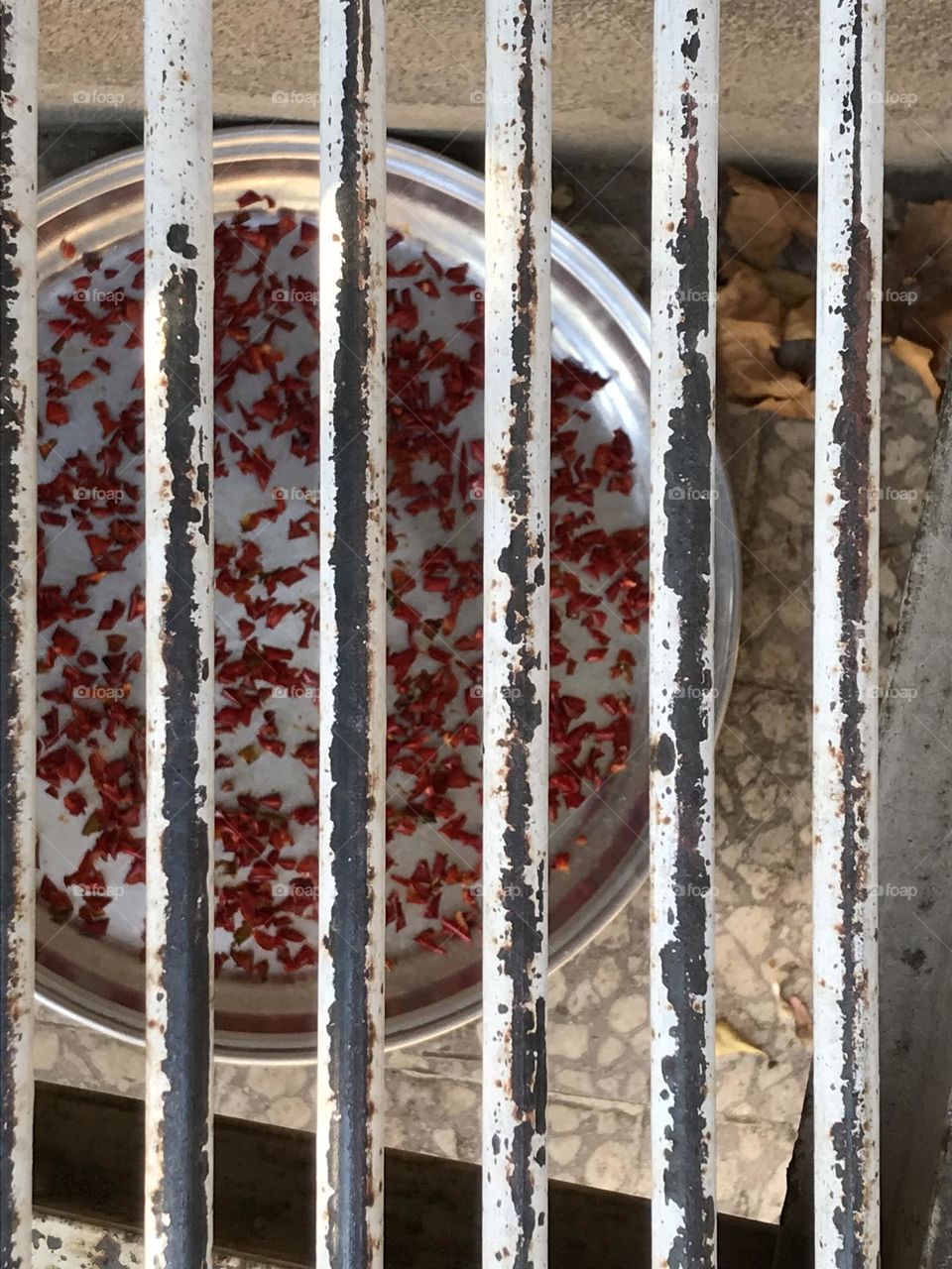 Looking closely, there are bars everywhere.