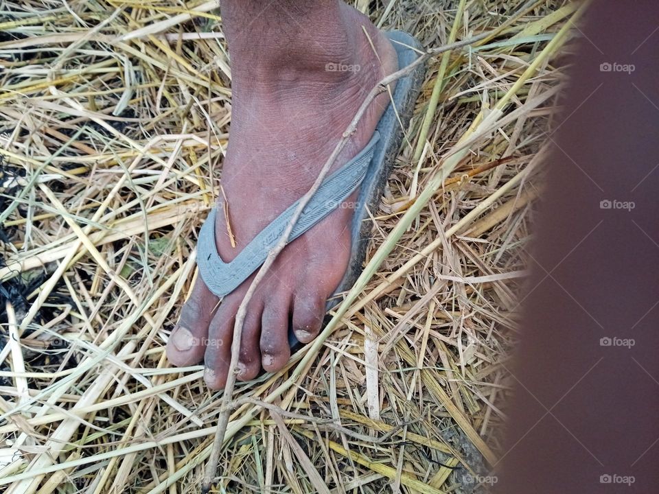 foot photography with slipper on yellow background