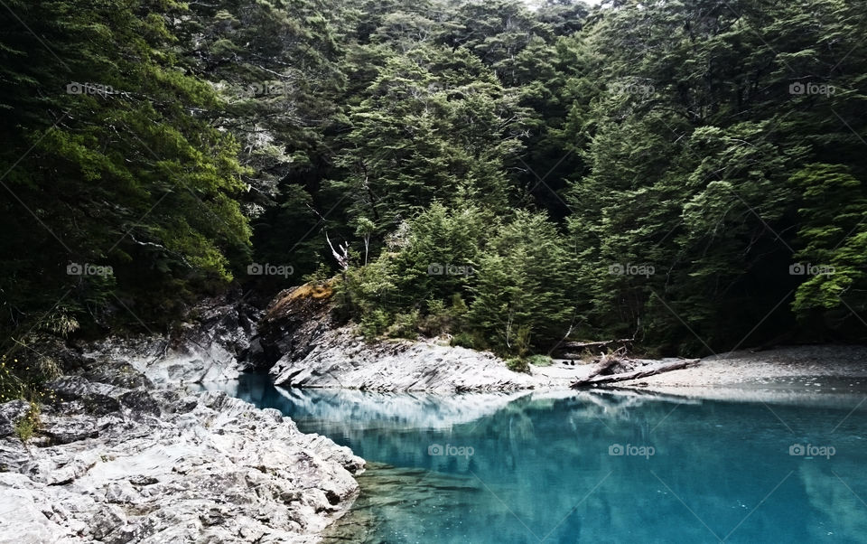 Journey though the middle earth