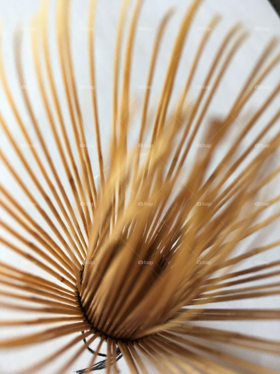 Bamboo matcha whisk close up