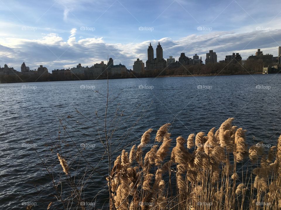 Sunshine over lake