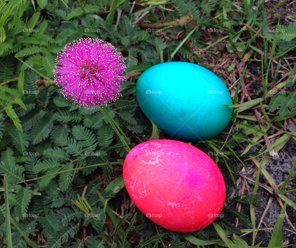 Brightly colored eggs beside a beautiful pink flower.