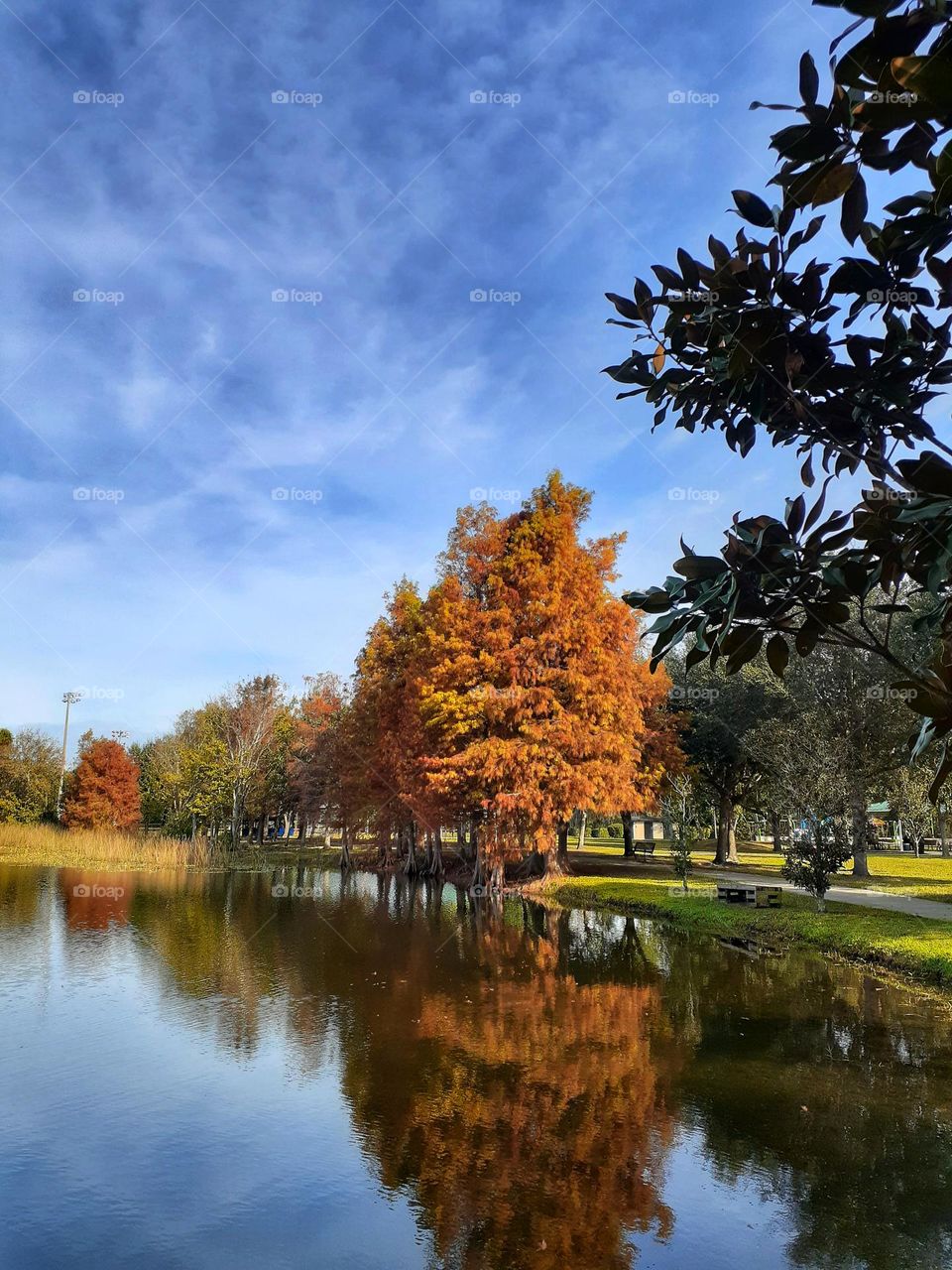 A beautiful sunny day with blue sky and colorful trees surrounding the lake at Secret Lake Park in Casselbery, Florida.