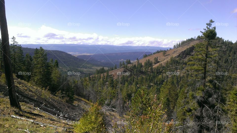 No Person, Nature, Wood, Outdoors, Travel