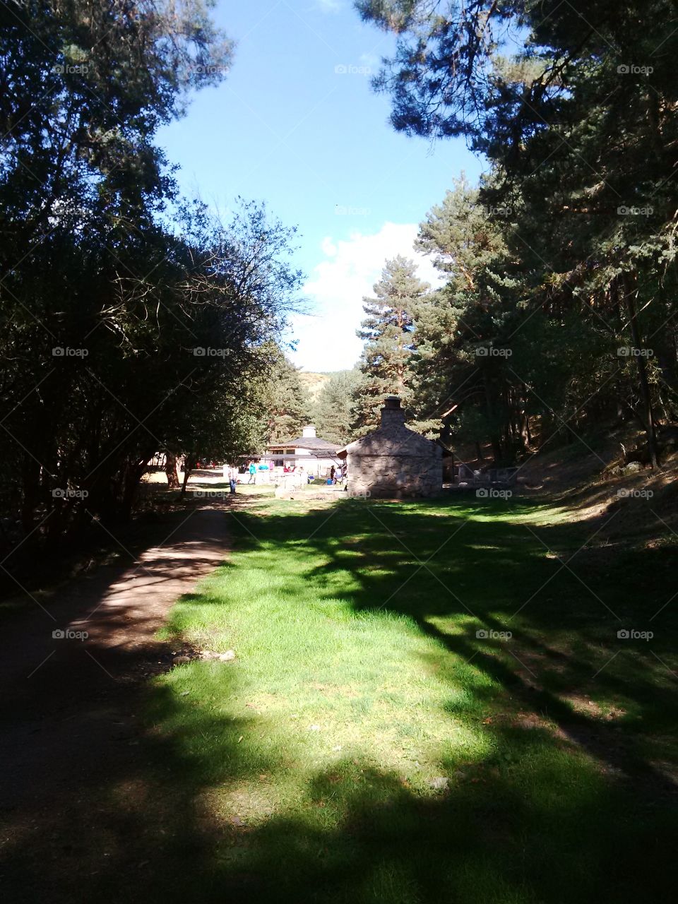 View from a distance of a picnic area inside a forest.