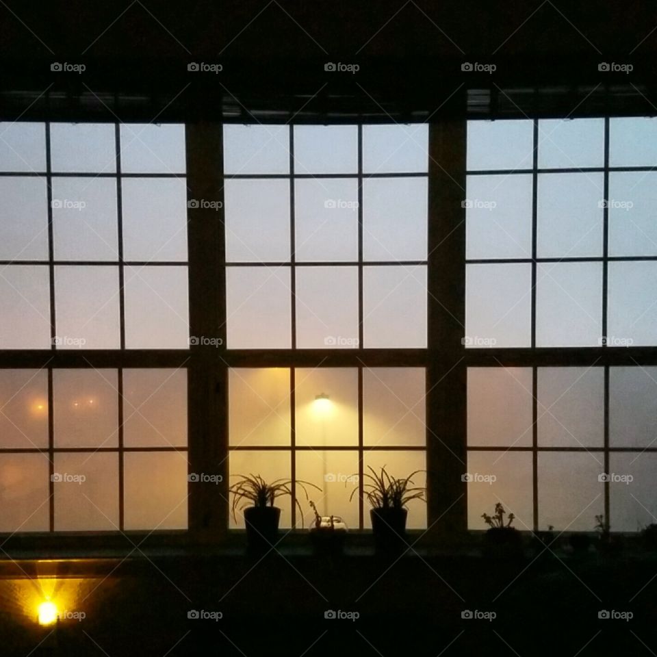 Foggy windows