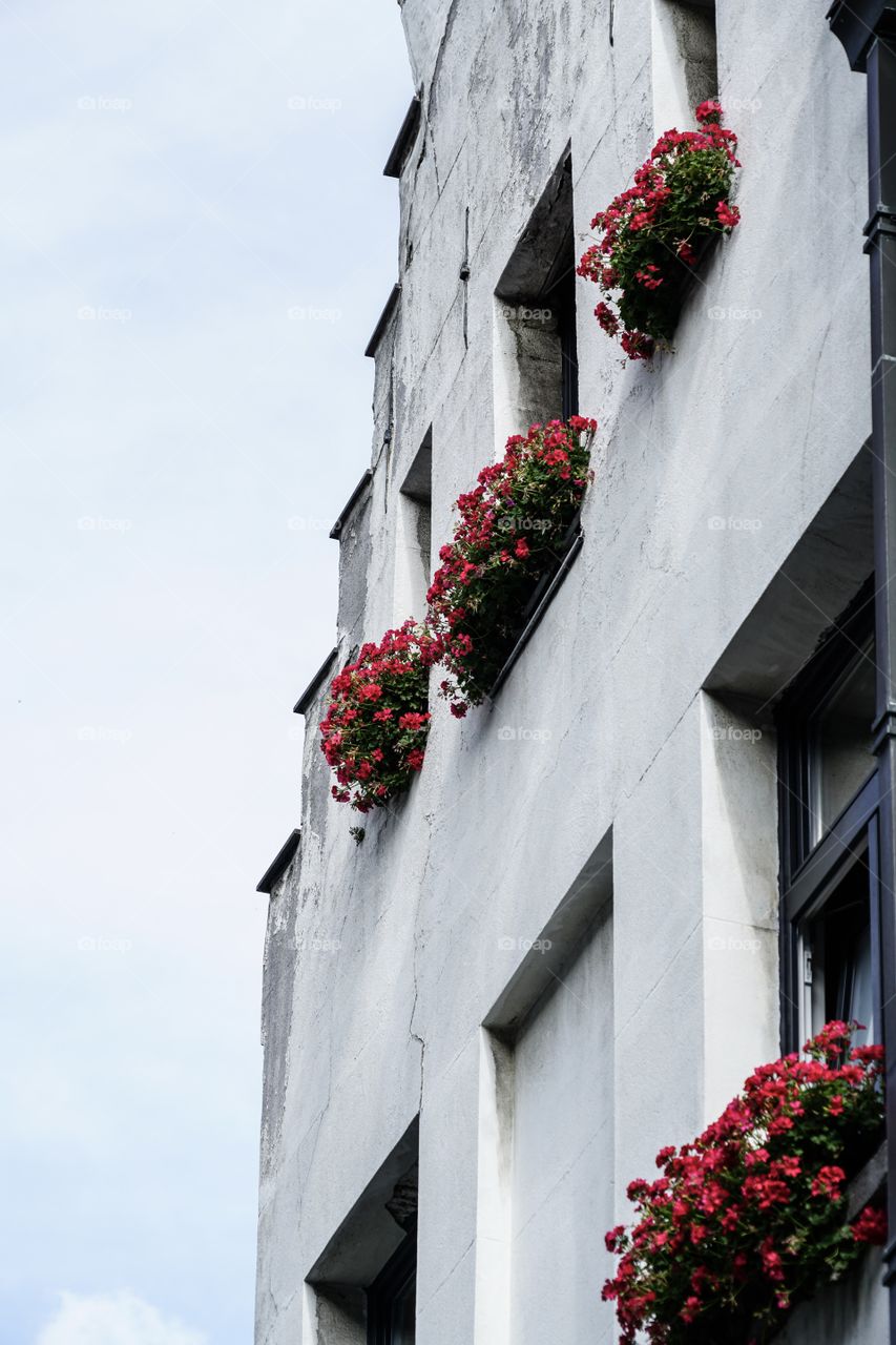 Old house with flowers