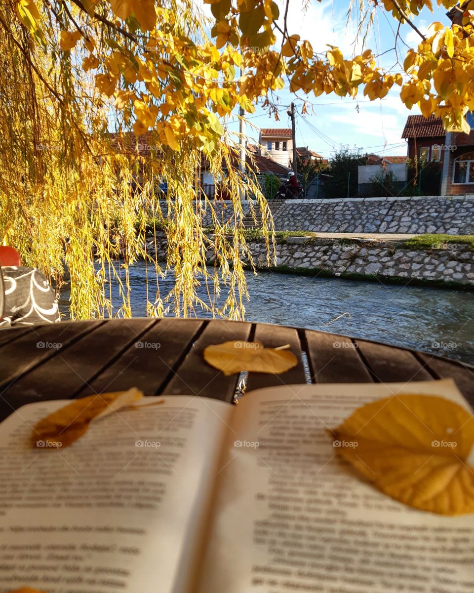 Book and nature